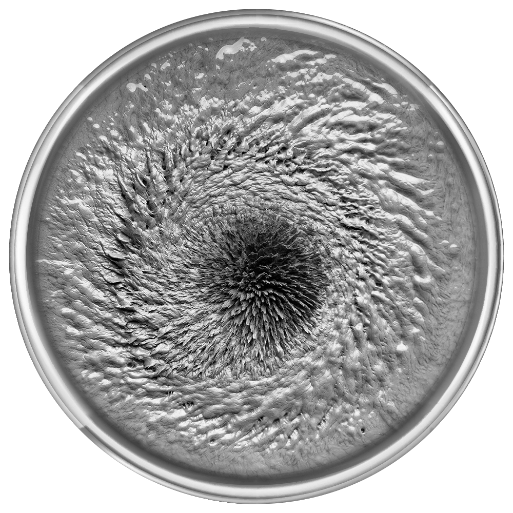 MR fluid in a petri dish exposed to a magnetic field from below with a permanent magnet. You can see how the particles link together, forming spikes that grow larger towards the center where the magnet is located.